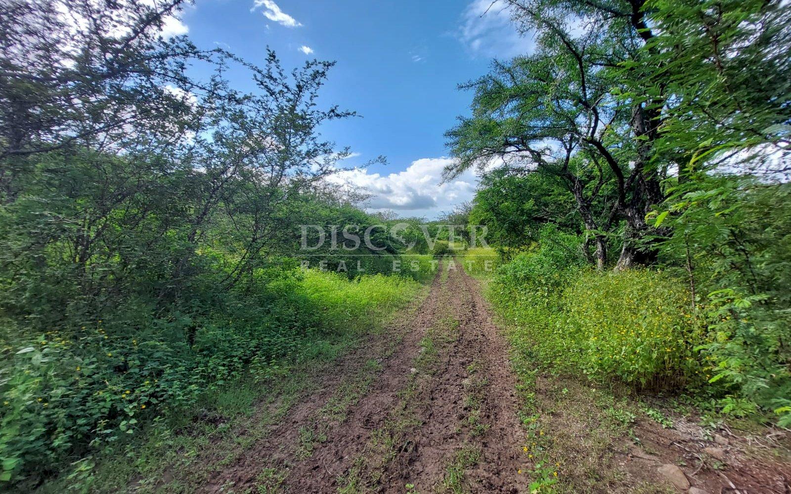  Livestock farm for sale on the old road to León, Nagarote.
