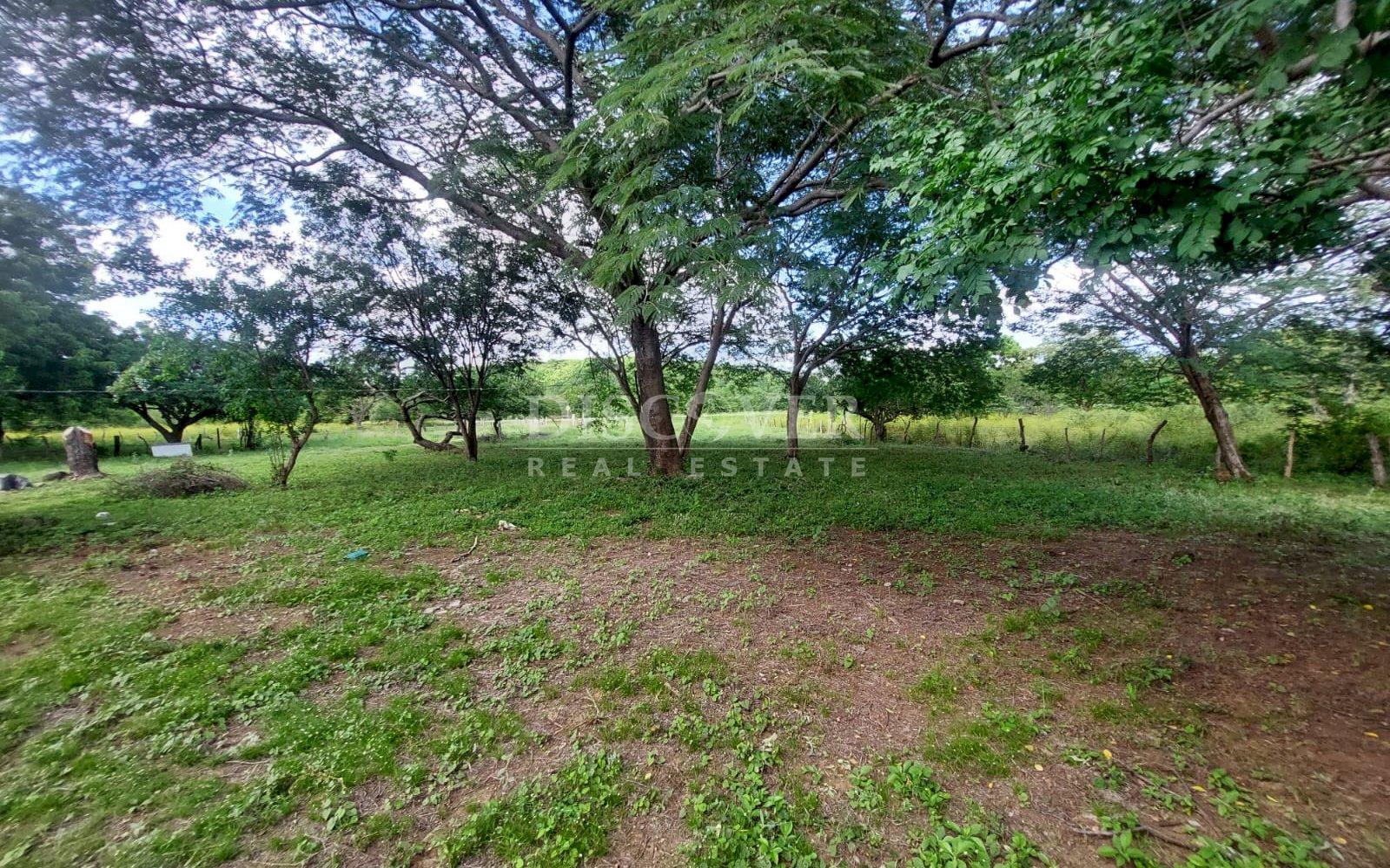  Livestock farm for sale on the old road to León, Nagarote.