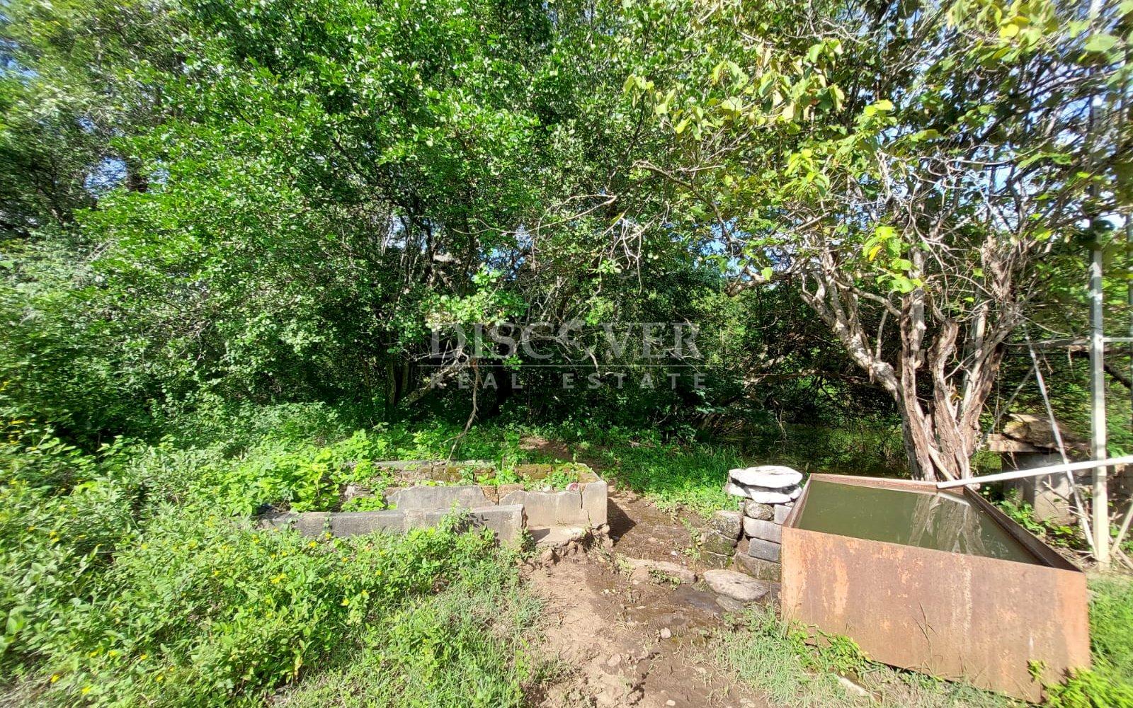  Livestock farm for sale on the old road to León, Nagarote.