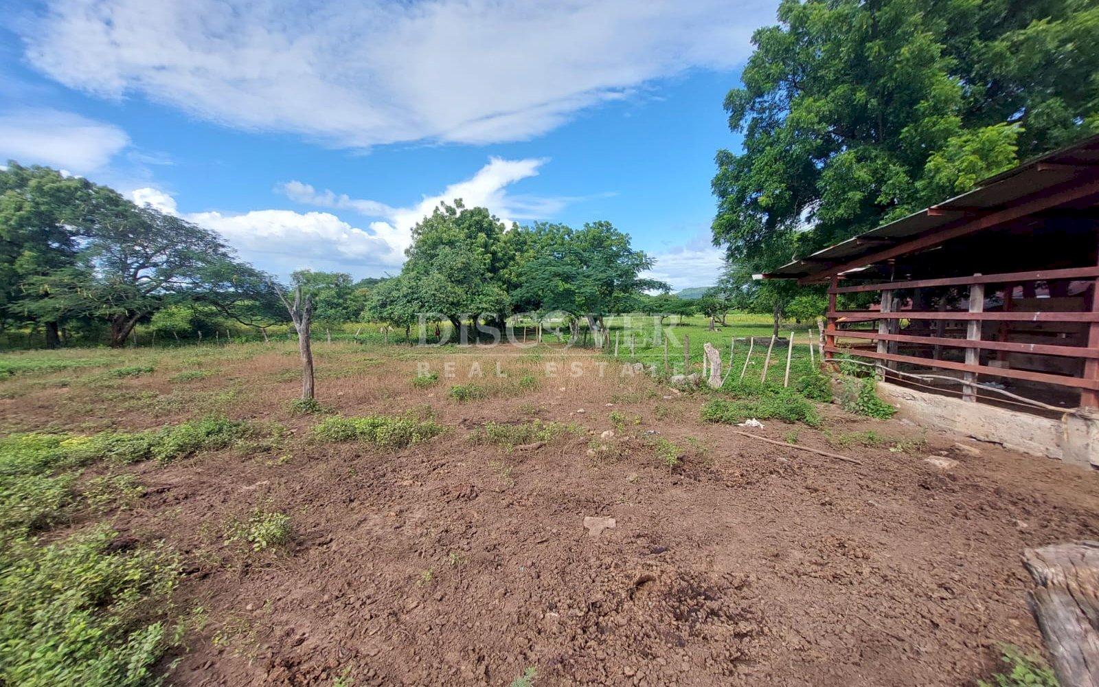  Livestock farm for sale on the old road to León, Nagarote.