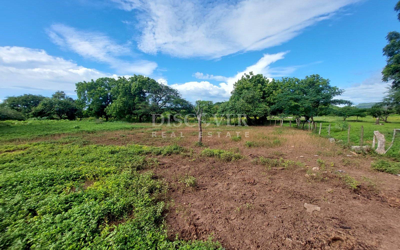  Livestock farm for sale on the old road to León, Nagarote.
