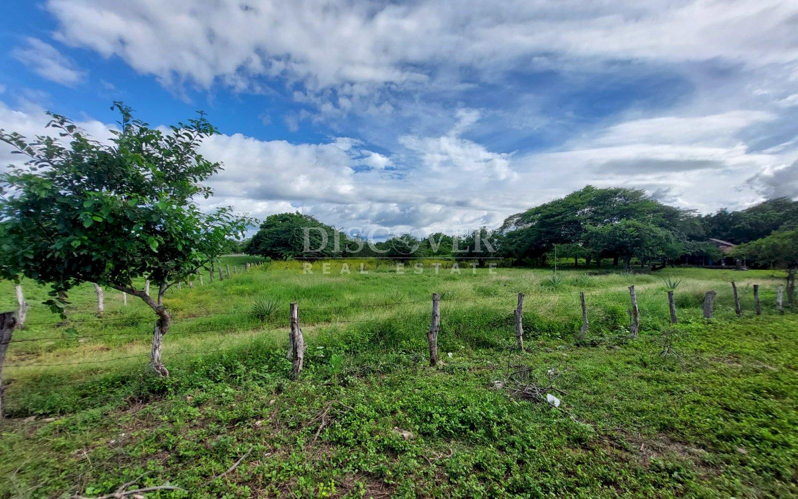  Livestock farm for sale on the old road to León, Nagarote.