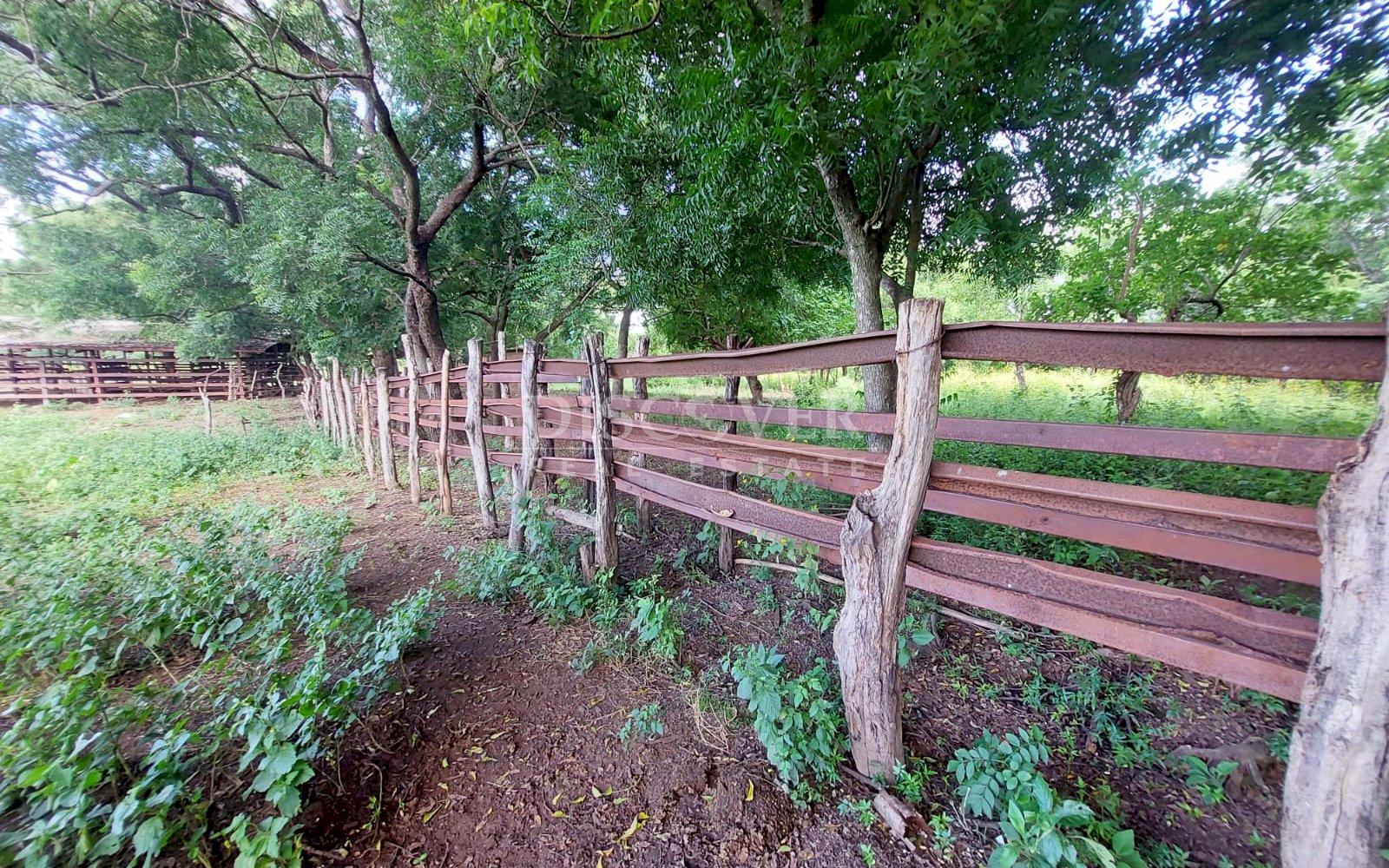  Livestock farm for sale on the old road to León, Nagarote.