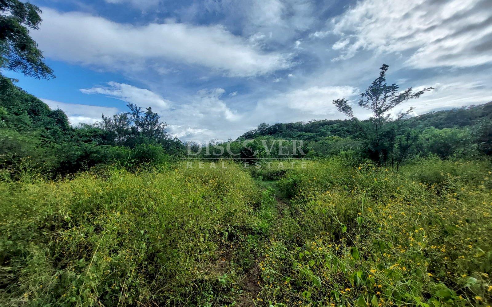  Livestock farm for sale on the old road to León, Nagarote.