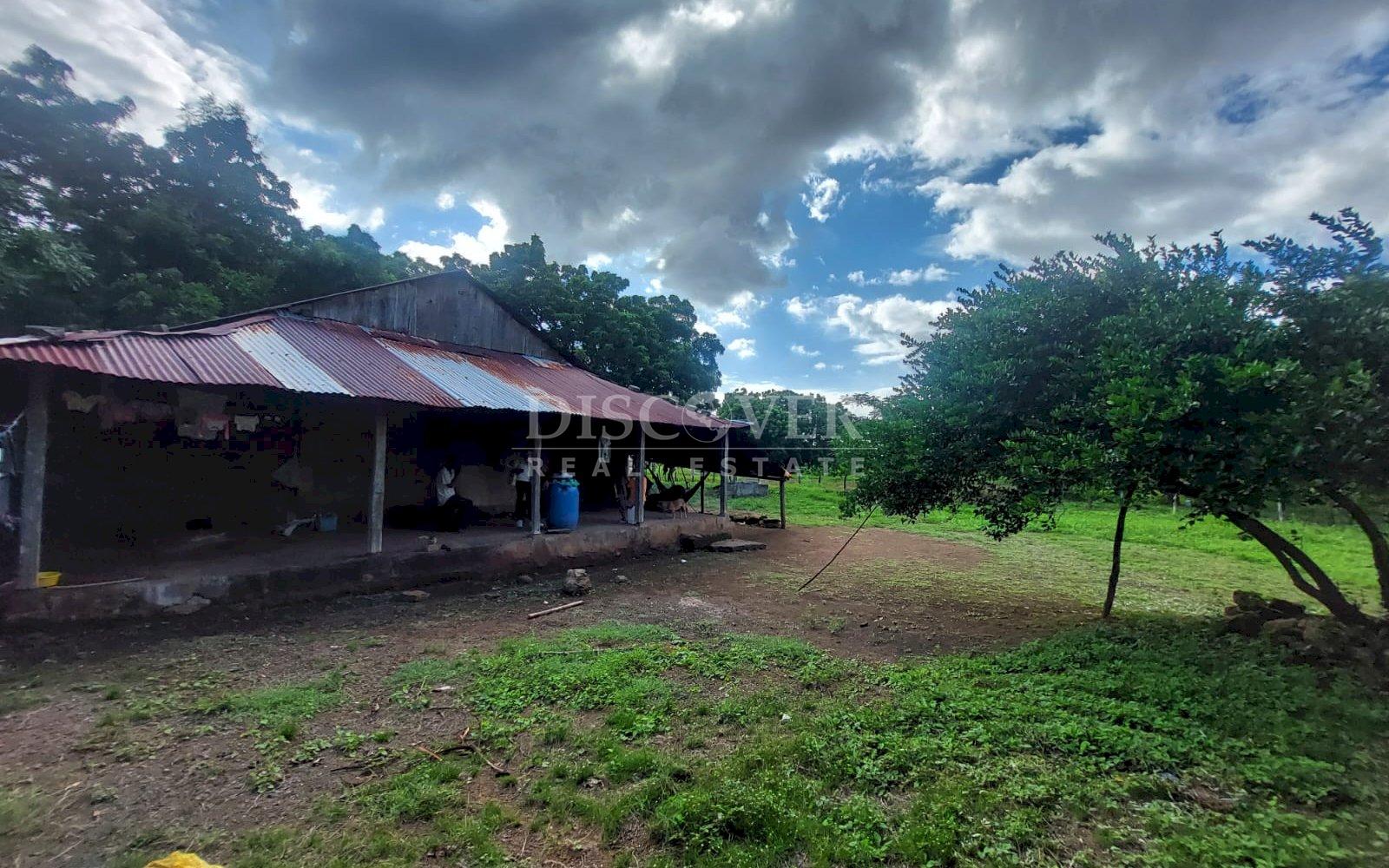  Livestock farm for sale on the old road to León, Nagarote.