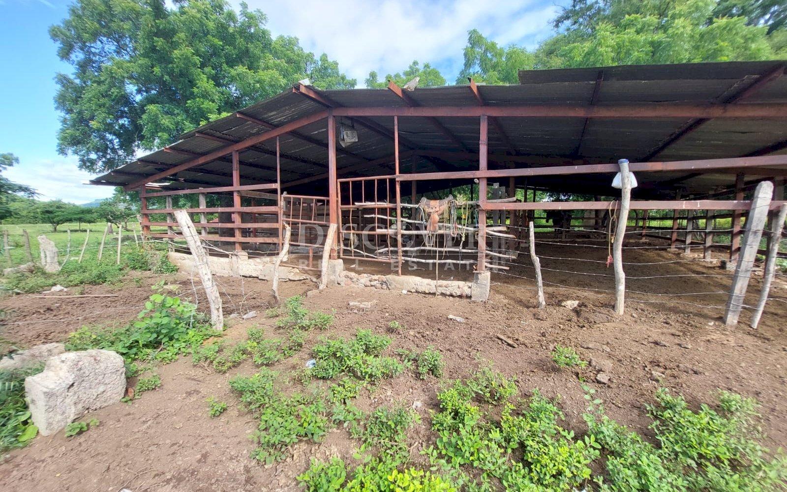  Livestock farm for sale on the old road to León, Nagarote.