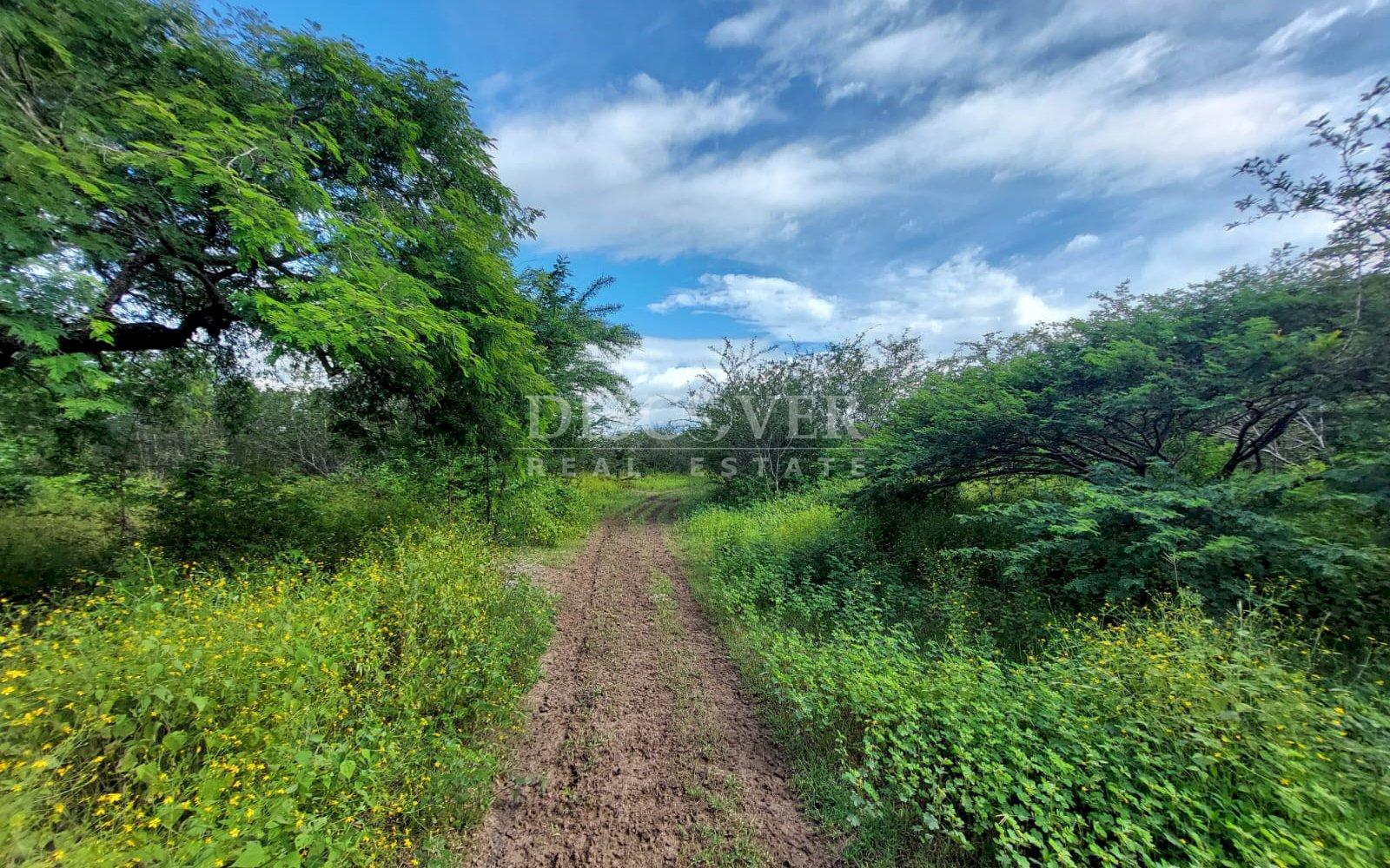  Livestock farm for sale on the old road to León, Nagarote.