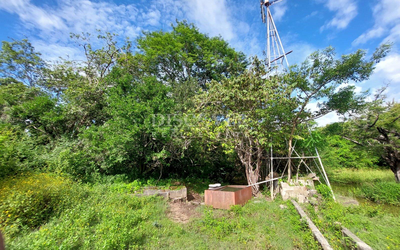  Livestock farm for sale on the old road to León, Nagarote.