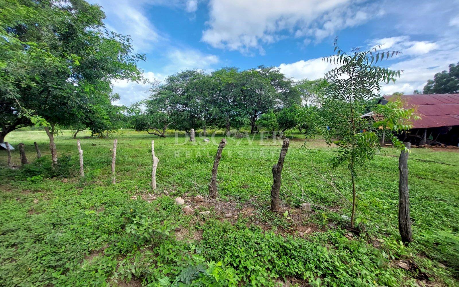  Livestock farm for sale on the old road to León, Nagarote.