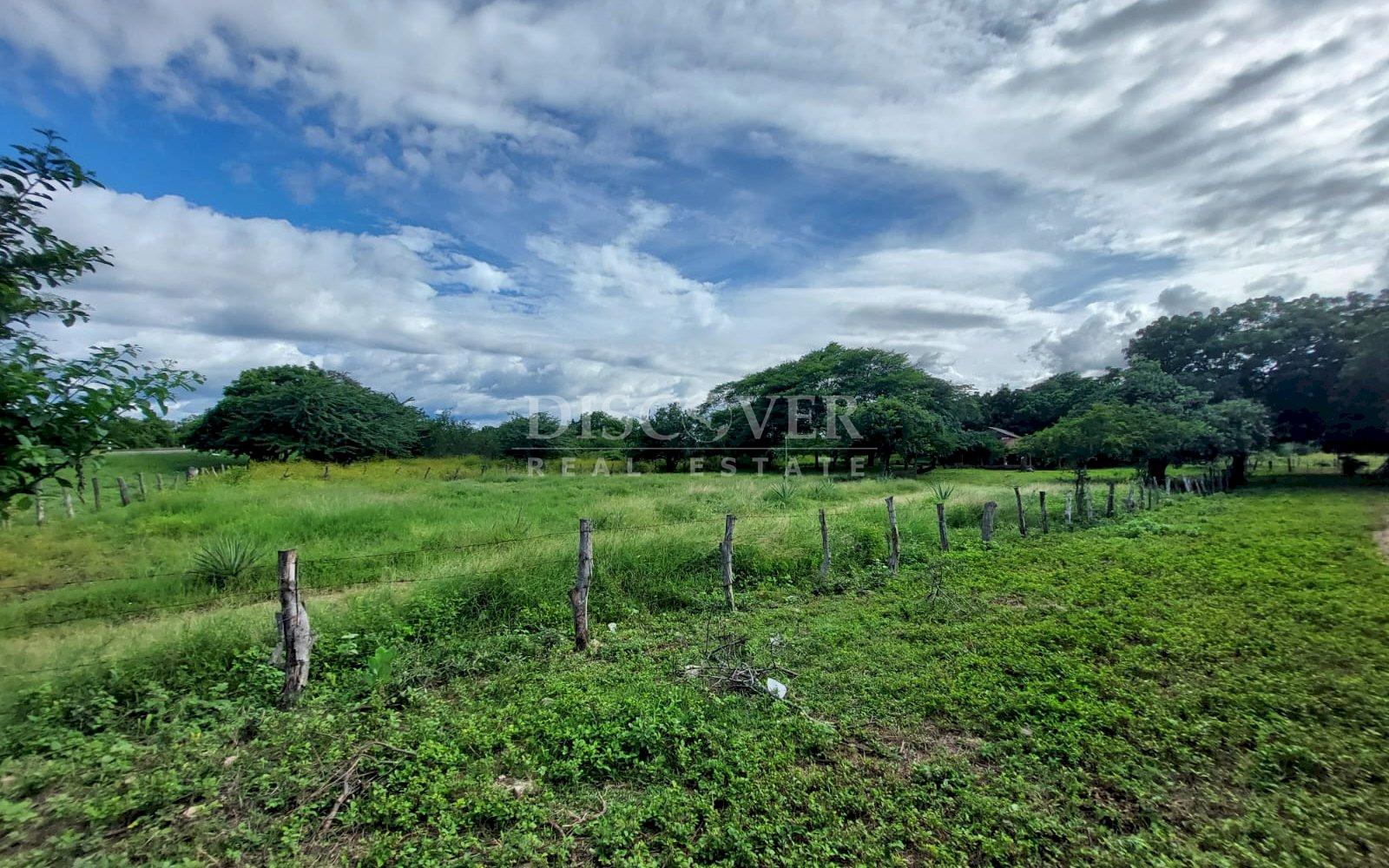  Livestock farm for sale on the old road to León, Nagarote.