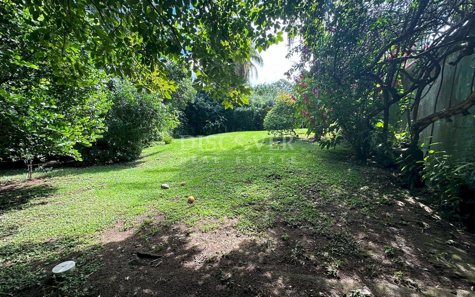 Imagen 10 de la galería