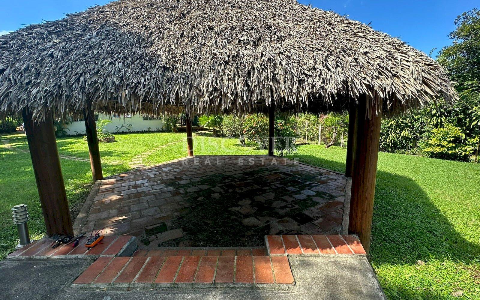 Imagen 4 de la galería