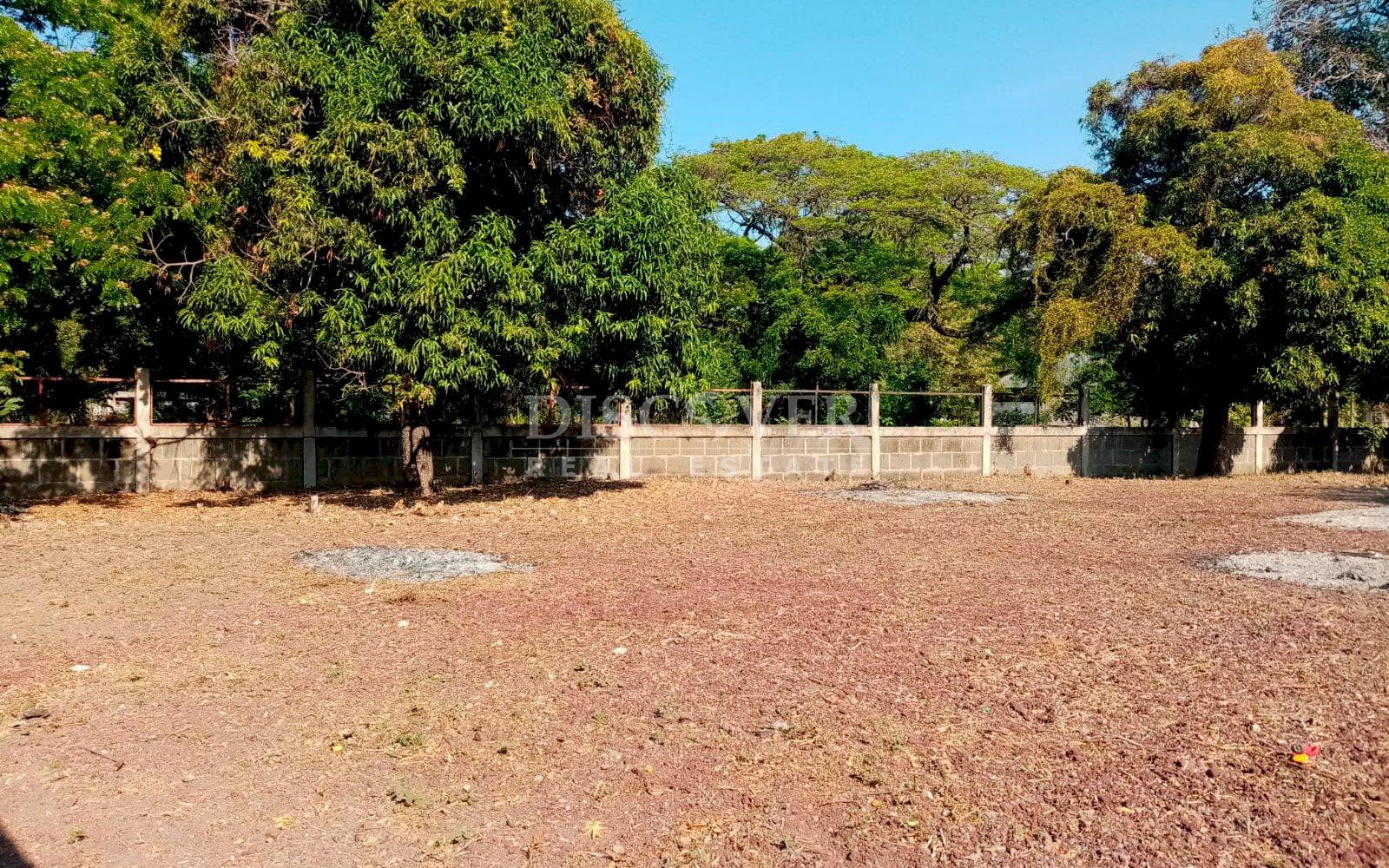 Imagen 1 de la galería