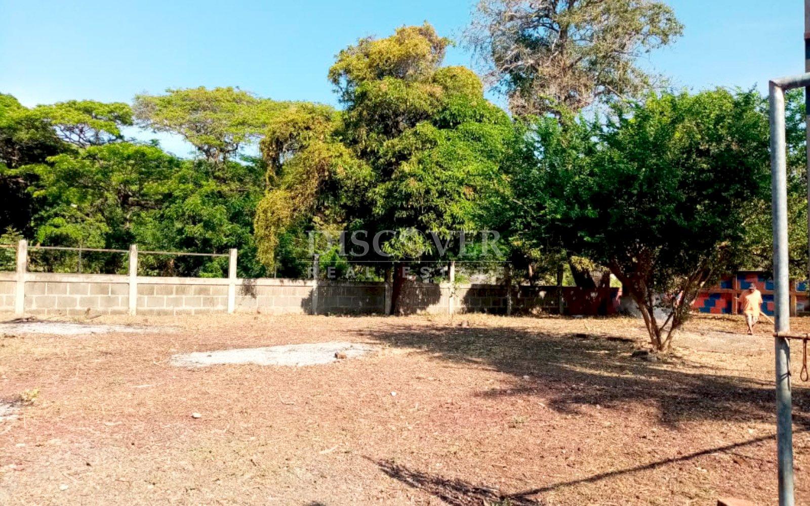 Imagen 4 de la galería