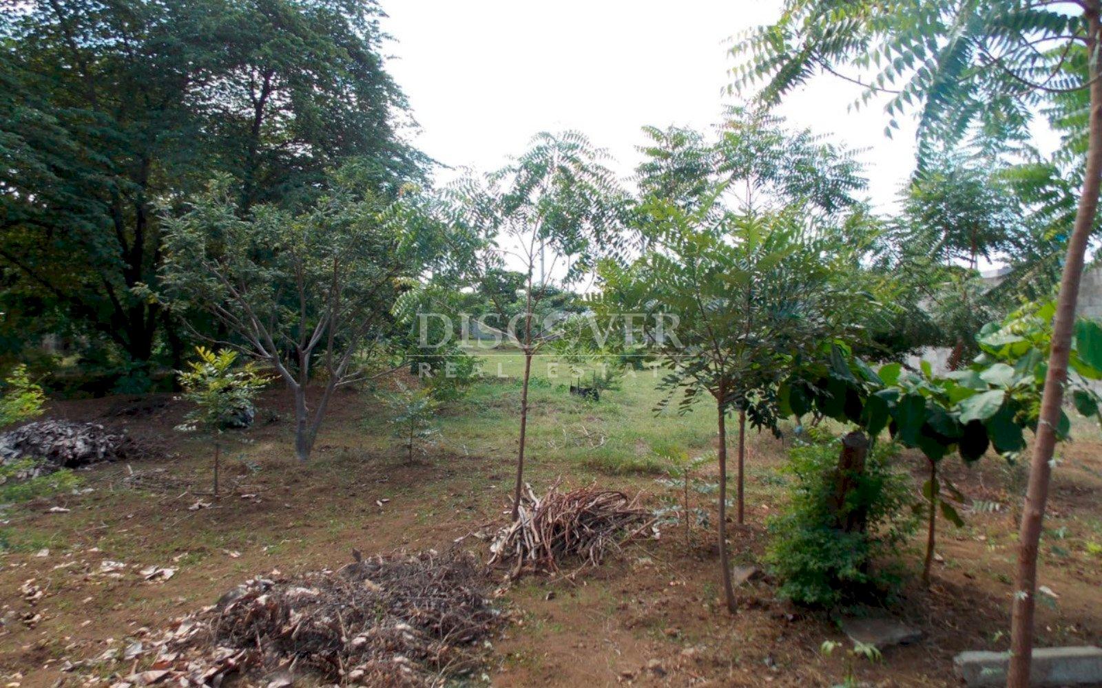 Land for sale in a high value area on the Masaya Highway 