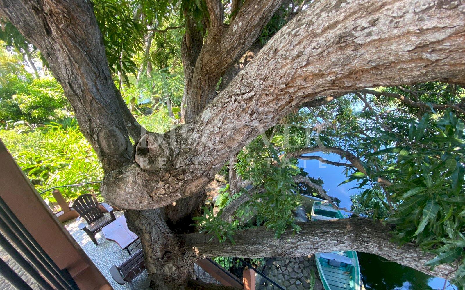 Islet for sale in the port of Asese