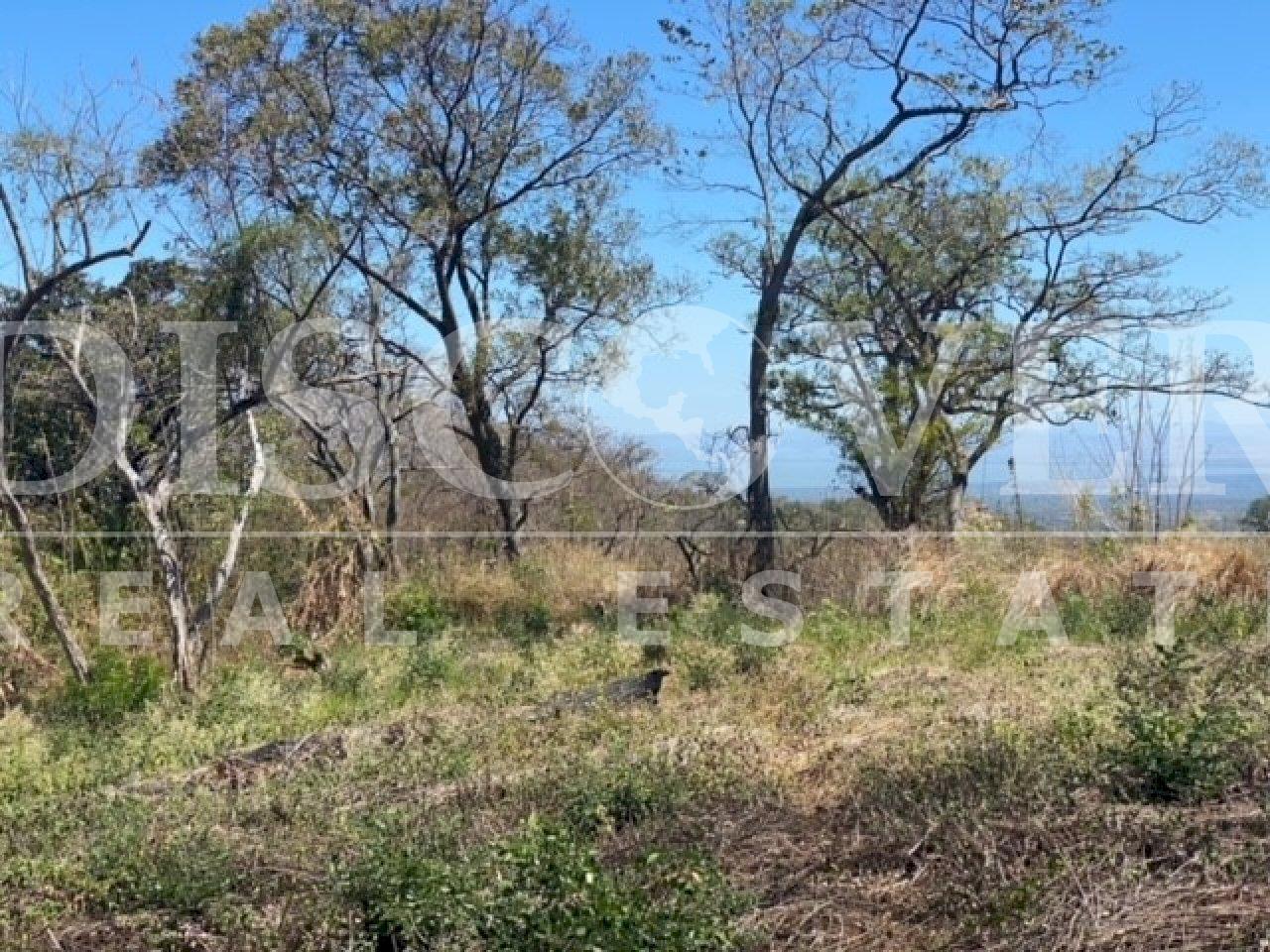 https://images.discovernica.com/propiedad/1600/13qfwg4g.jpg