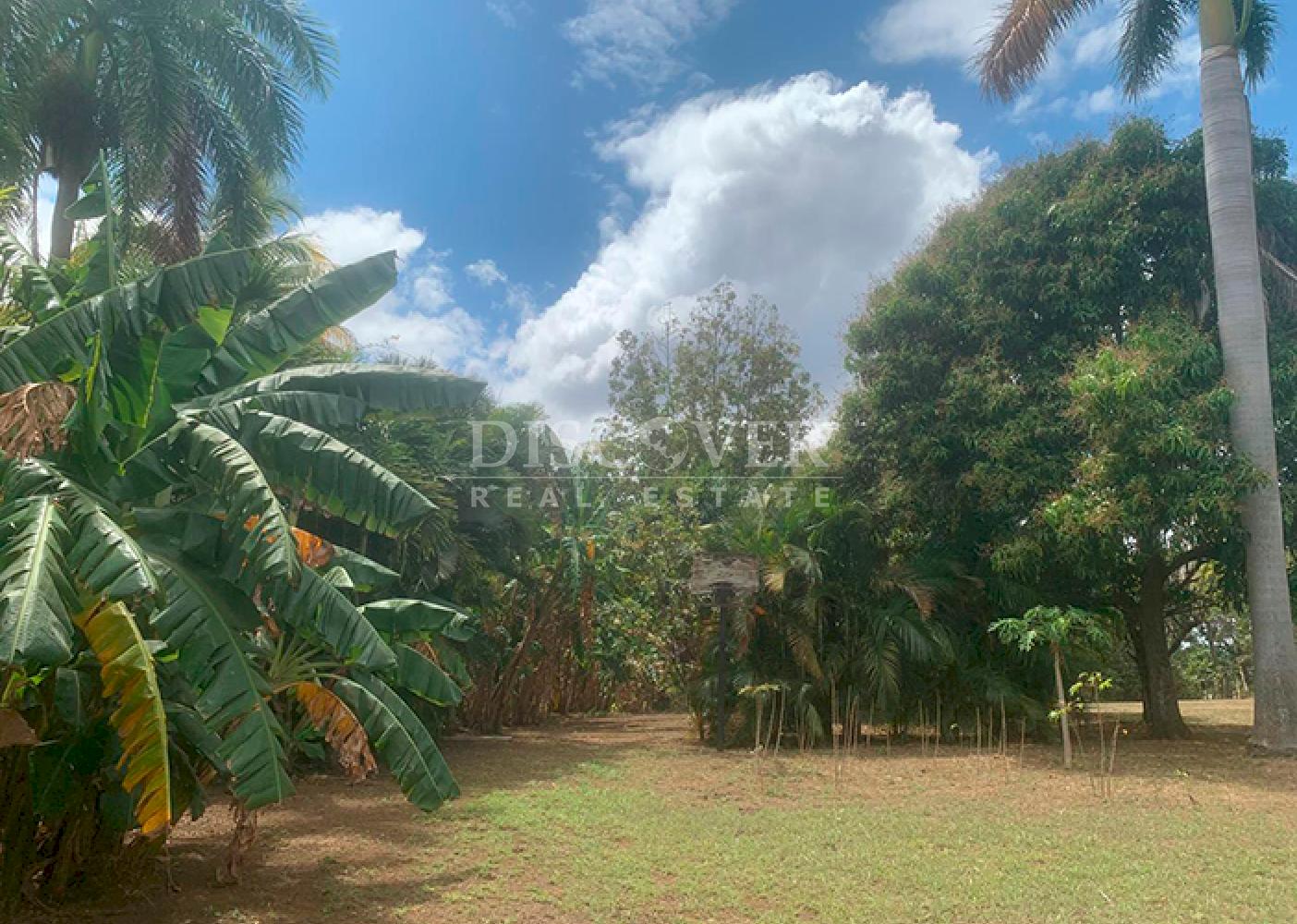  For sale land in front of the highway in Carretera a Masaya