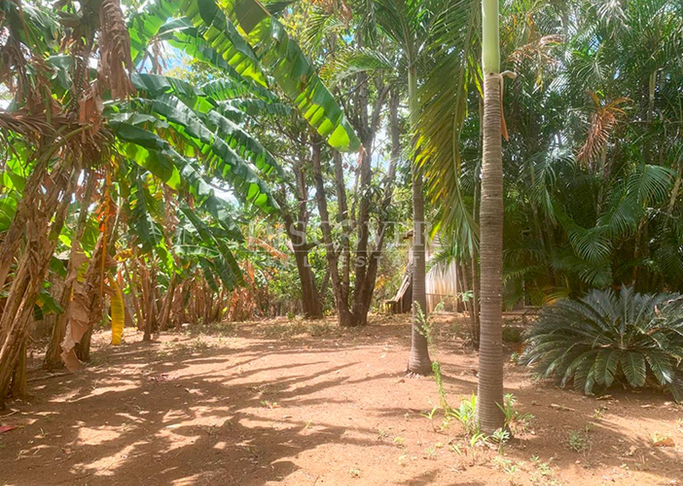  For sale land in front of the highway in Carretera a Masaya