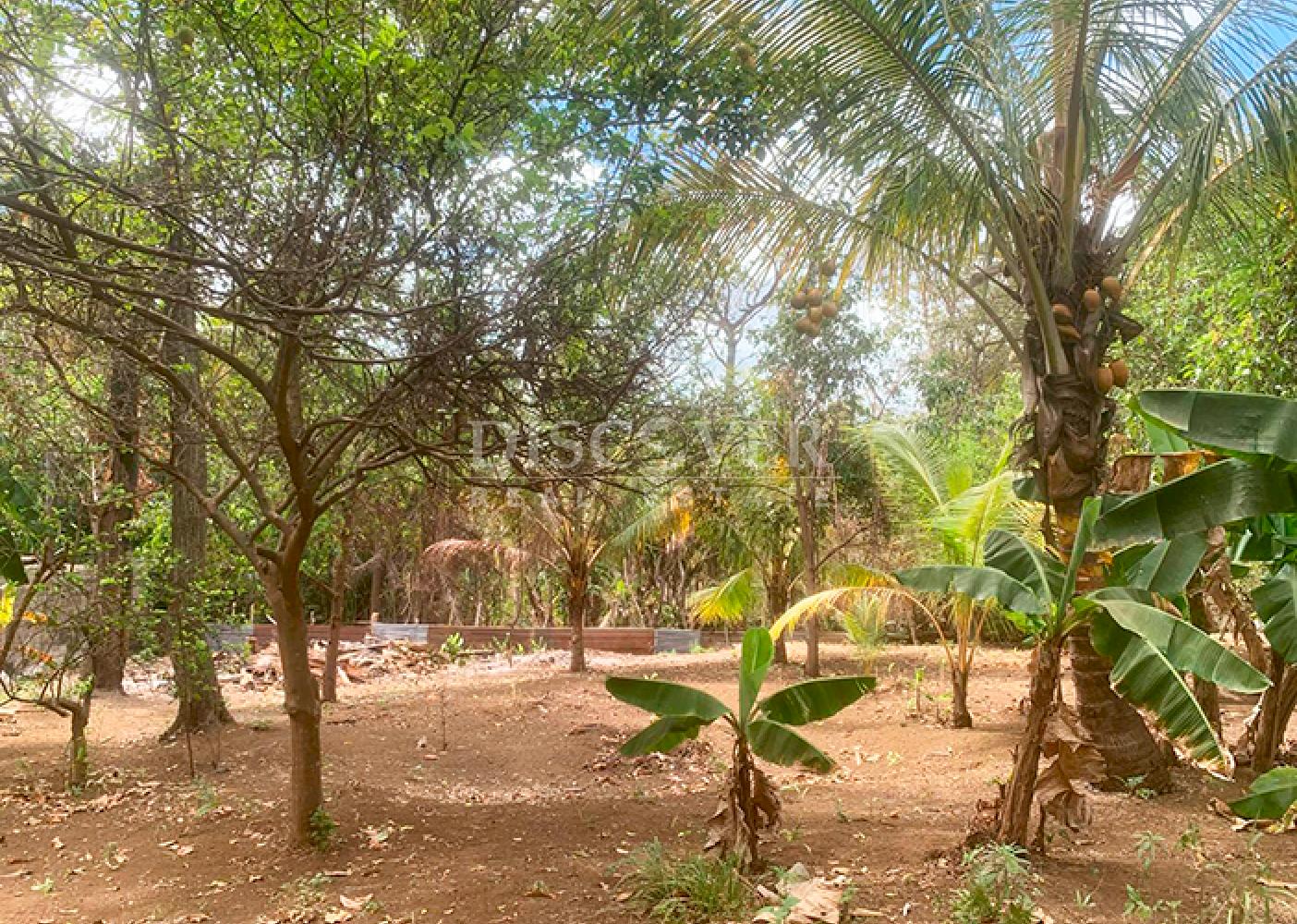  For sale land in front of the highway in Carretera a Masaya