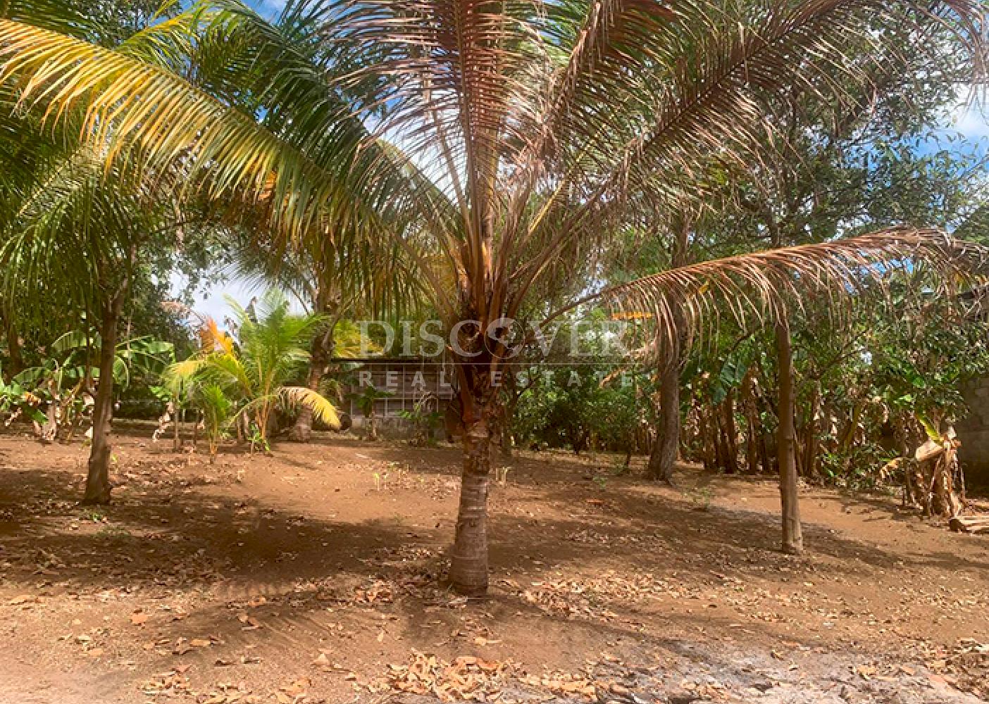  For sale land in front of the highway in Carretera a Masaya