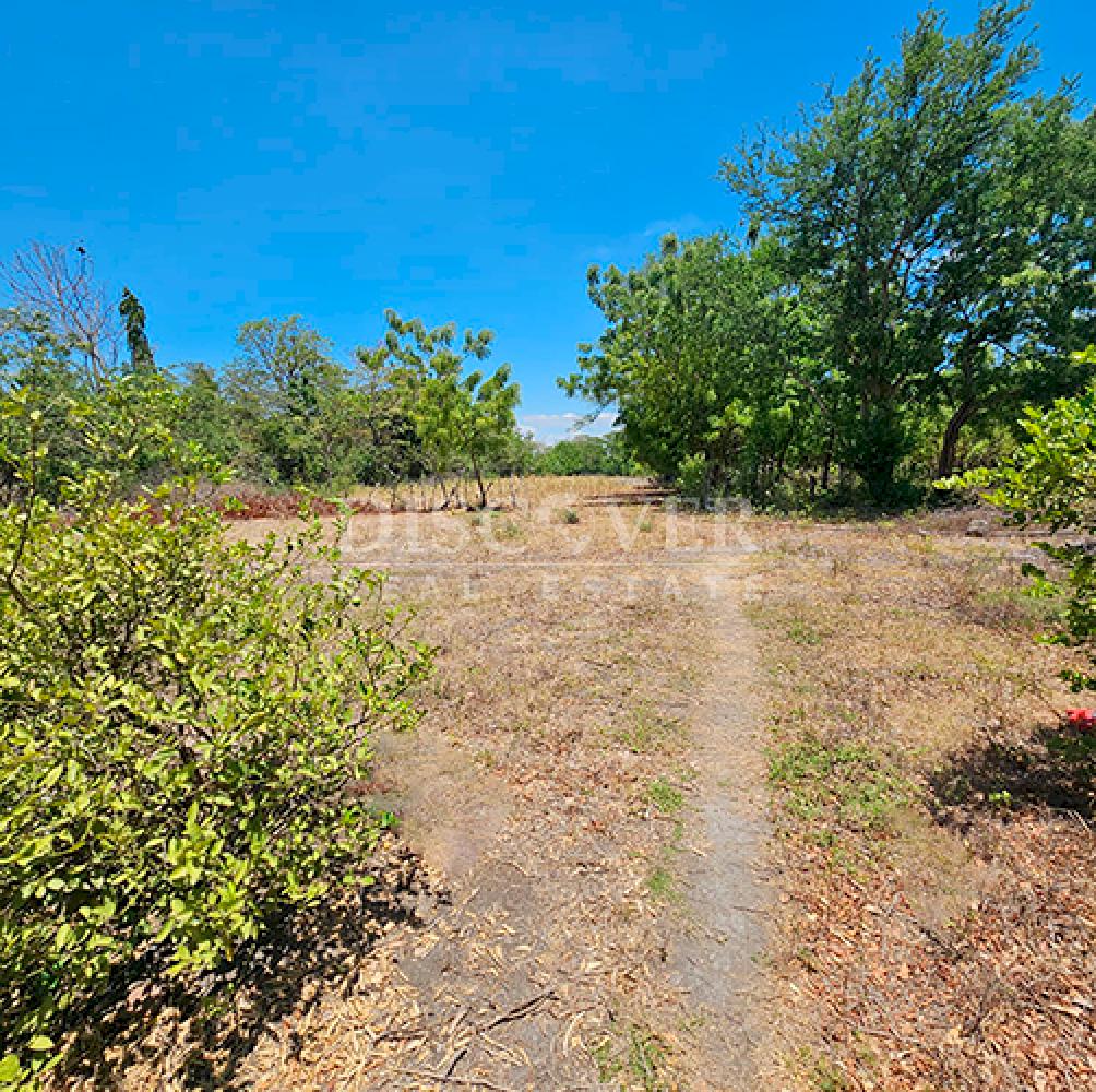  Flat land for sale on Carretera Norte