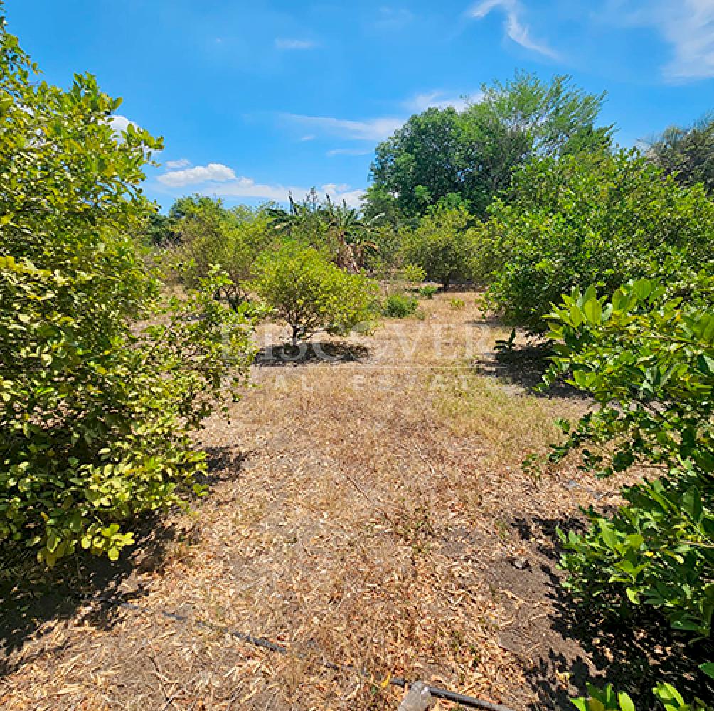  Flat land for sale on Carretera Norte