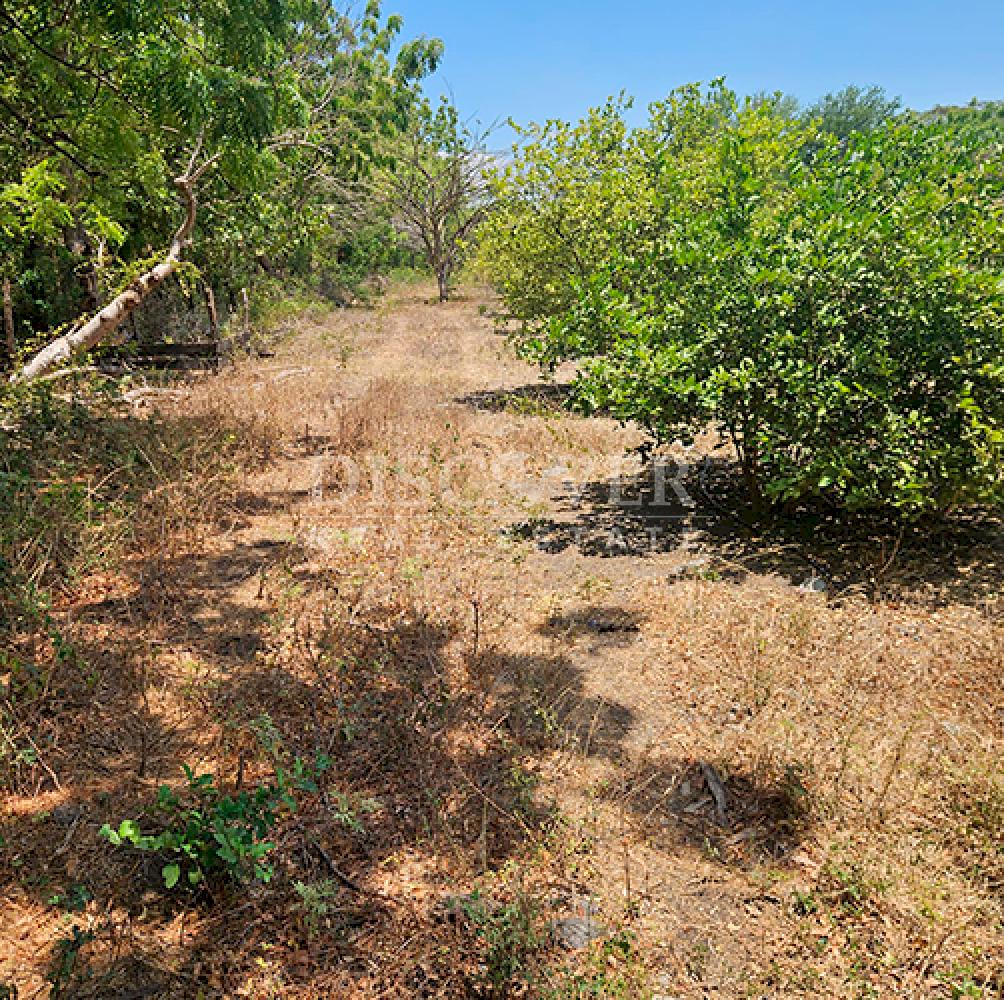  Flat land for sale on Carretera Norte