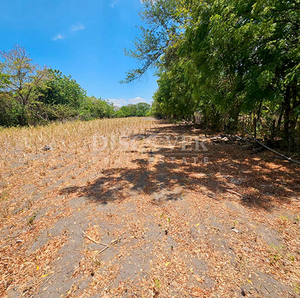  Flat land for sale on Carretera Norte