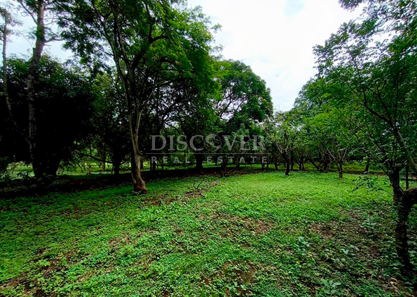 Farm for sale in Masaya 