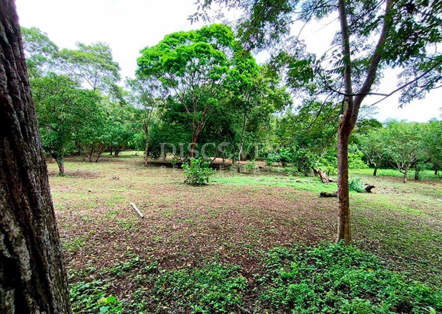 Farm for sale in Masaya 