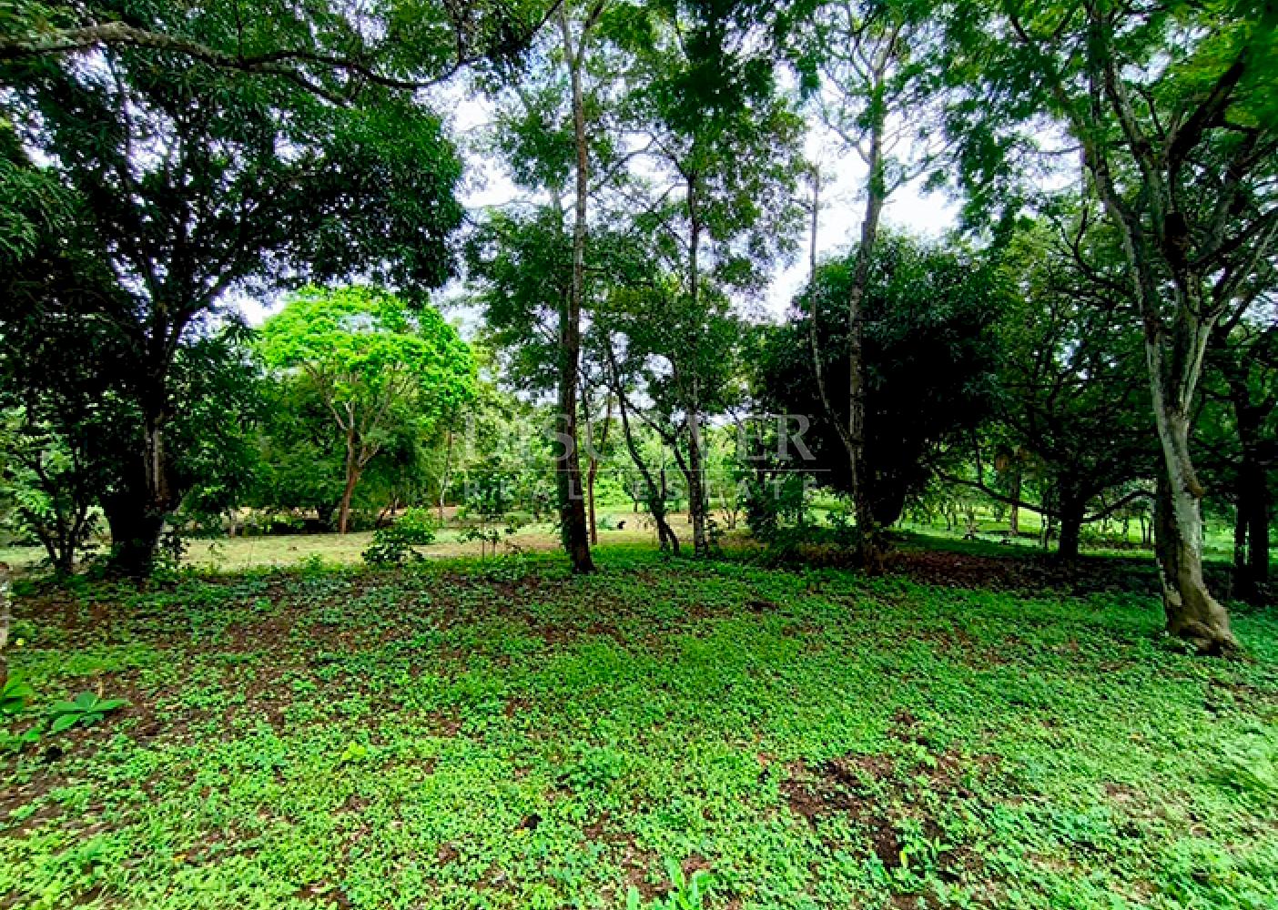 Farm for sale in Masaya 