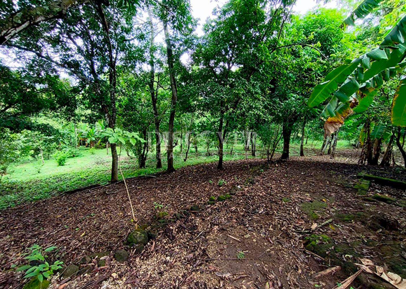 Farm for sale in Masaya 