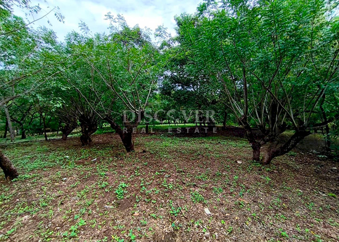 Farm for sale in Masaya 