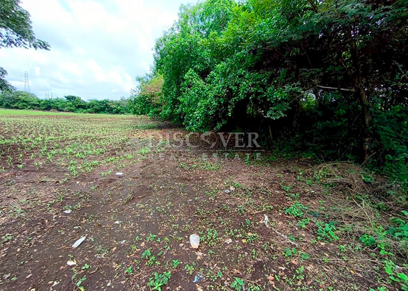  Land for sale across from the highway - Ideal for commercial use in Masaya
