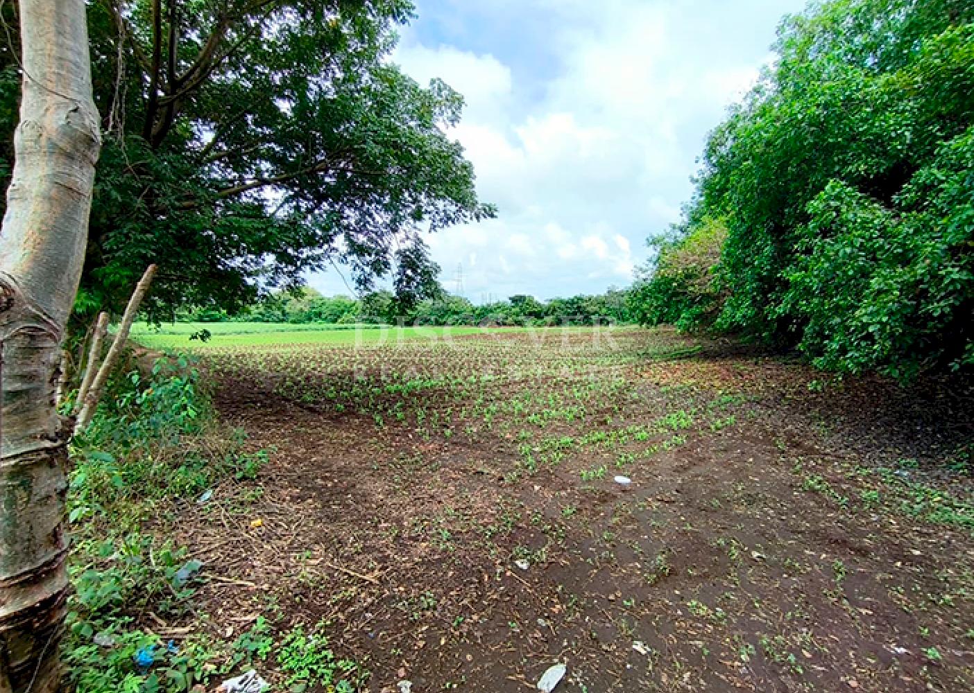  Land for sale across from the highway - Ideal for commercial use in Masaya