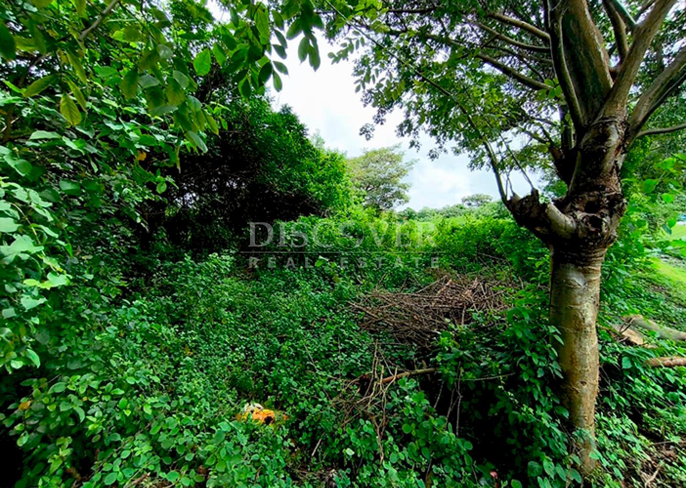  Land for sale across from the highway - Ideal for commercial use in Masaya
