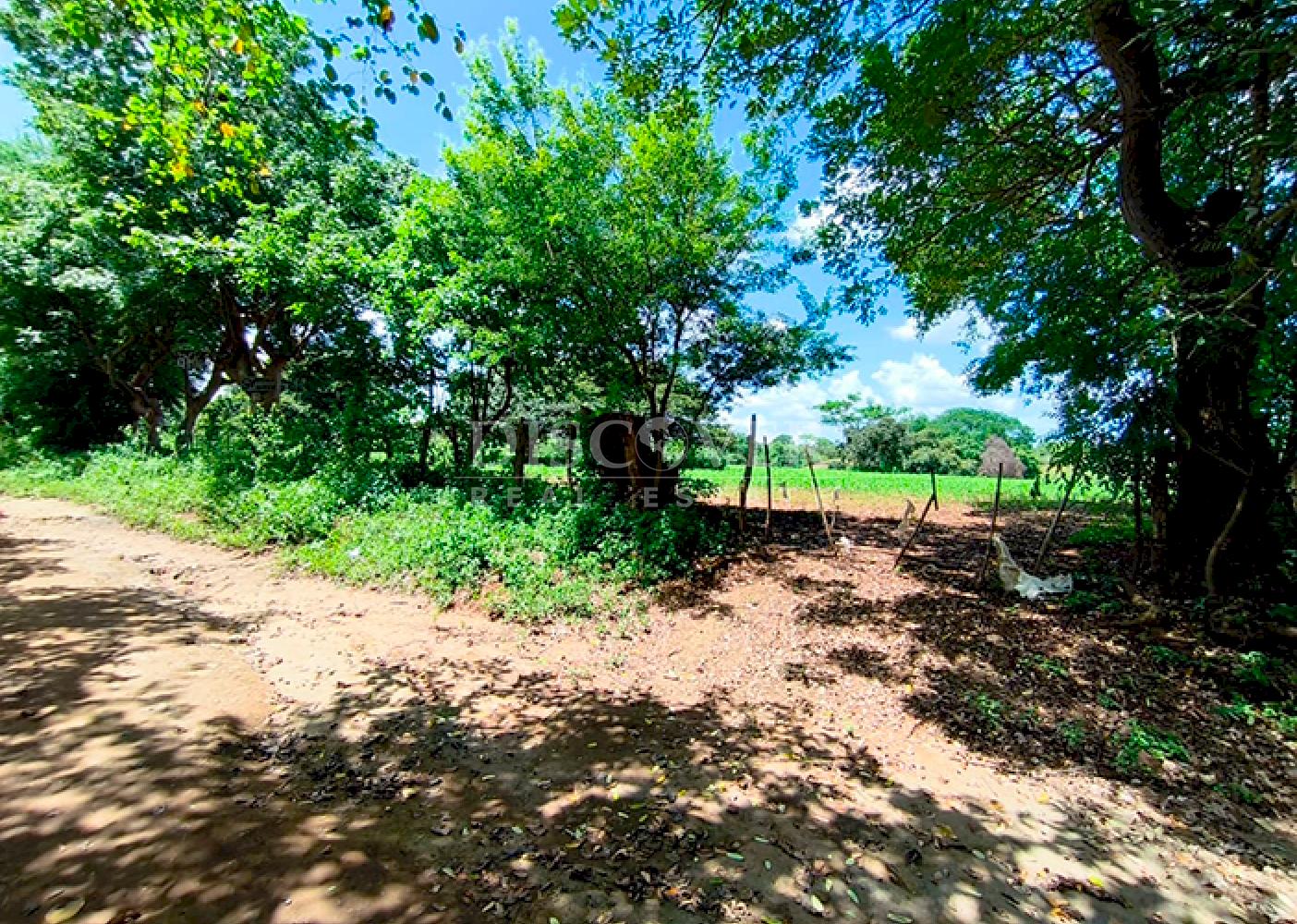 Agricultural land for sale in Masaya