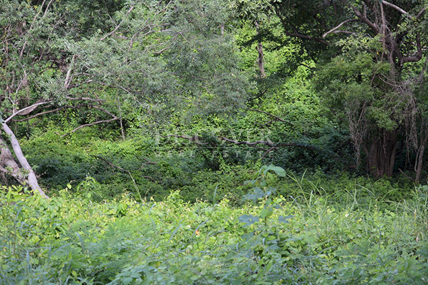  Lot for sale with Ocean View in Rancho Santana