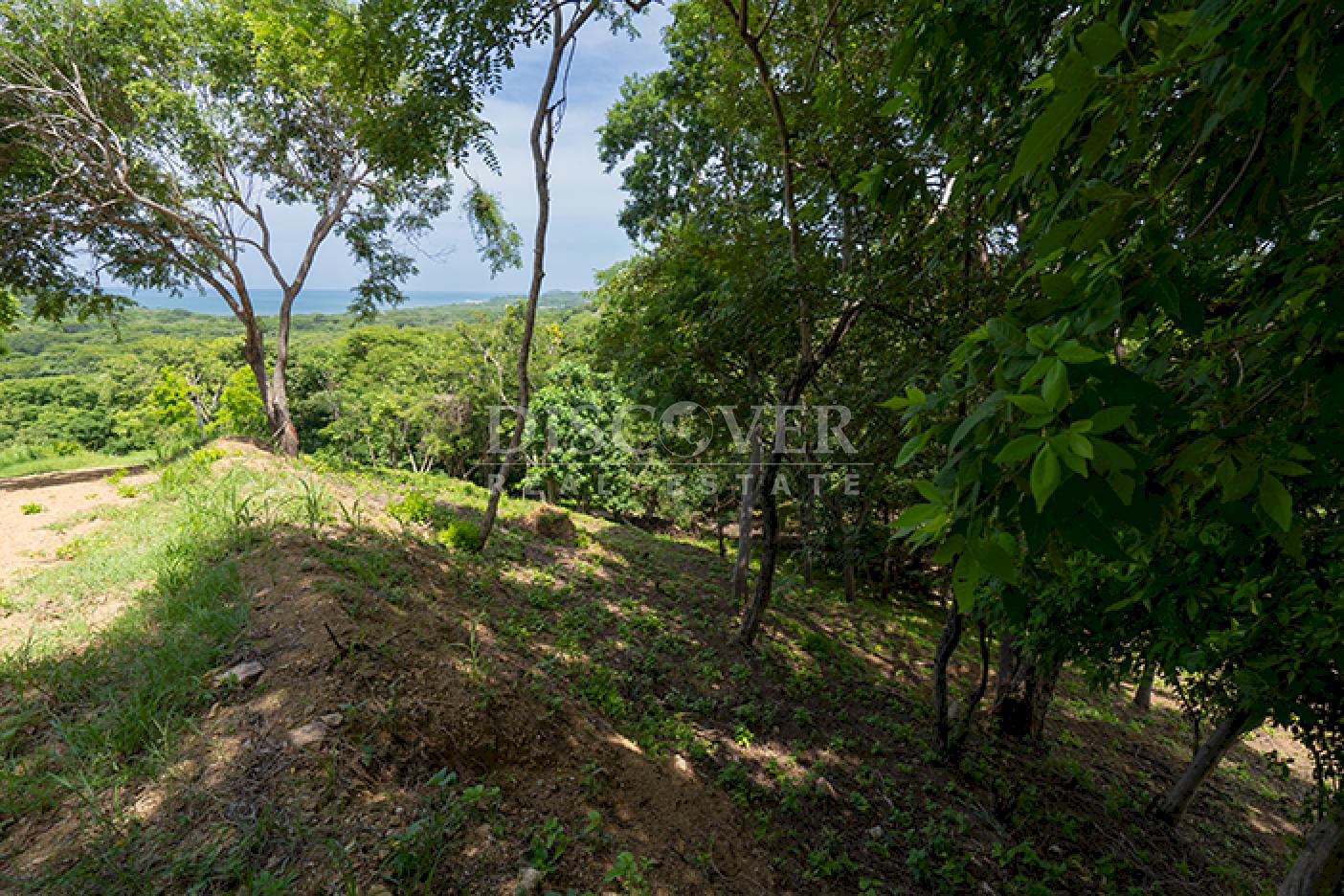  Lot for sale with Ocean View in Rancho Santana