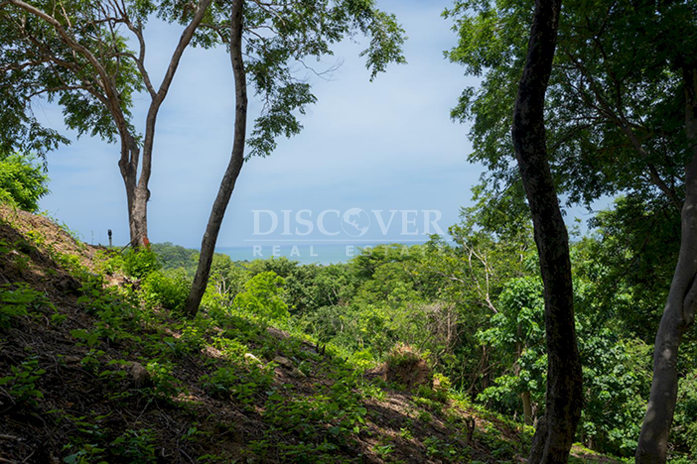  Lot for sale with Ocean View in Rancho Santana