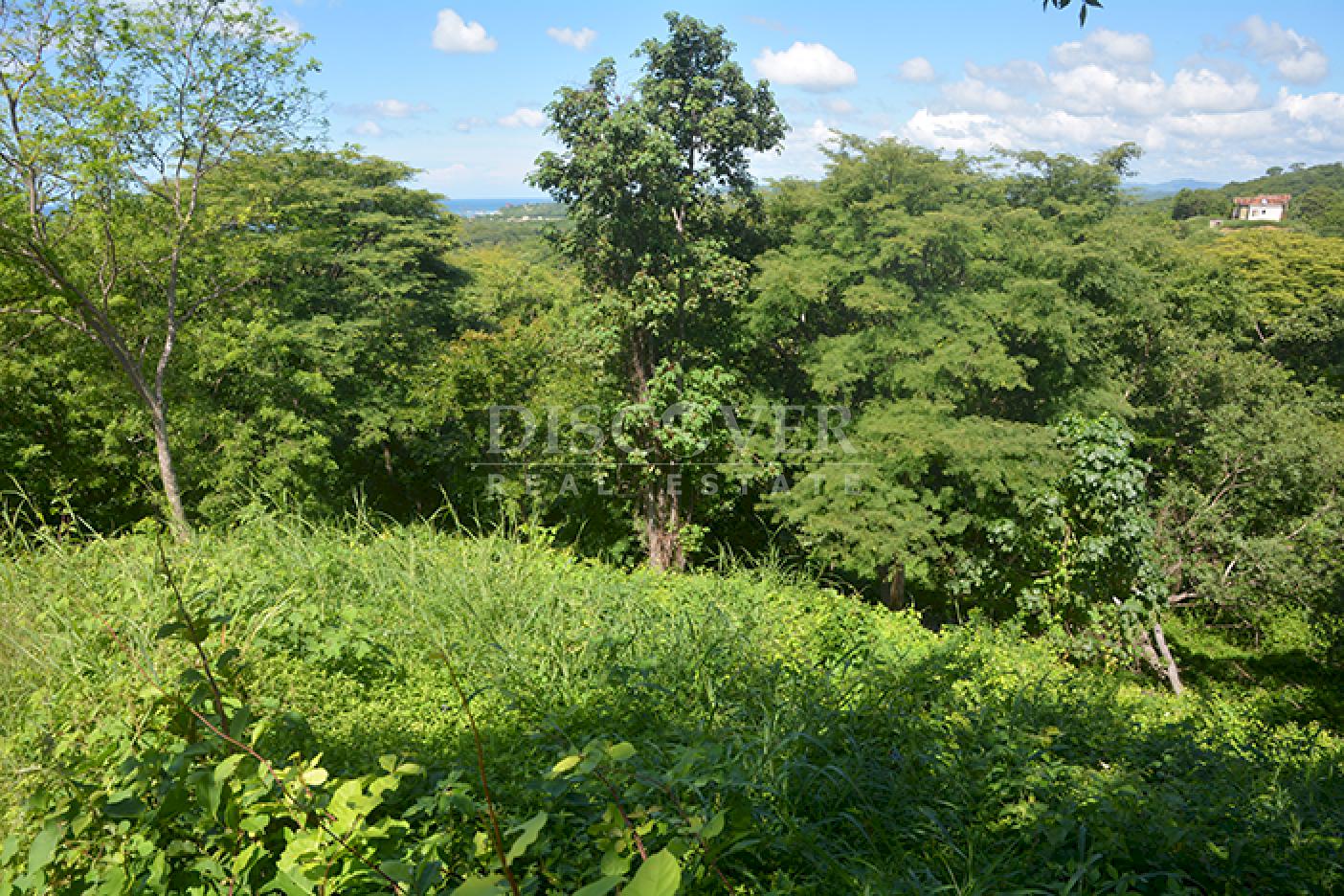  Lot for sale with Ocean View in Rancho Santana