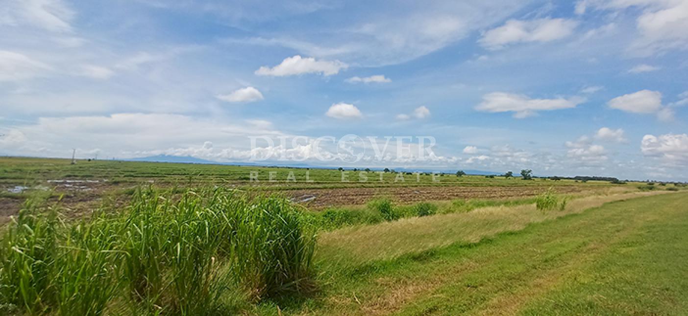 Rice farm for sale/rent in Malacatoya 