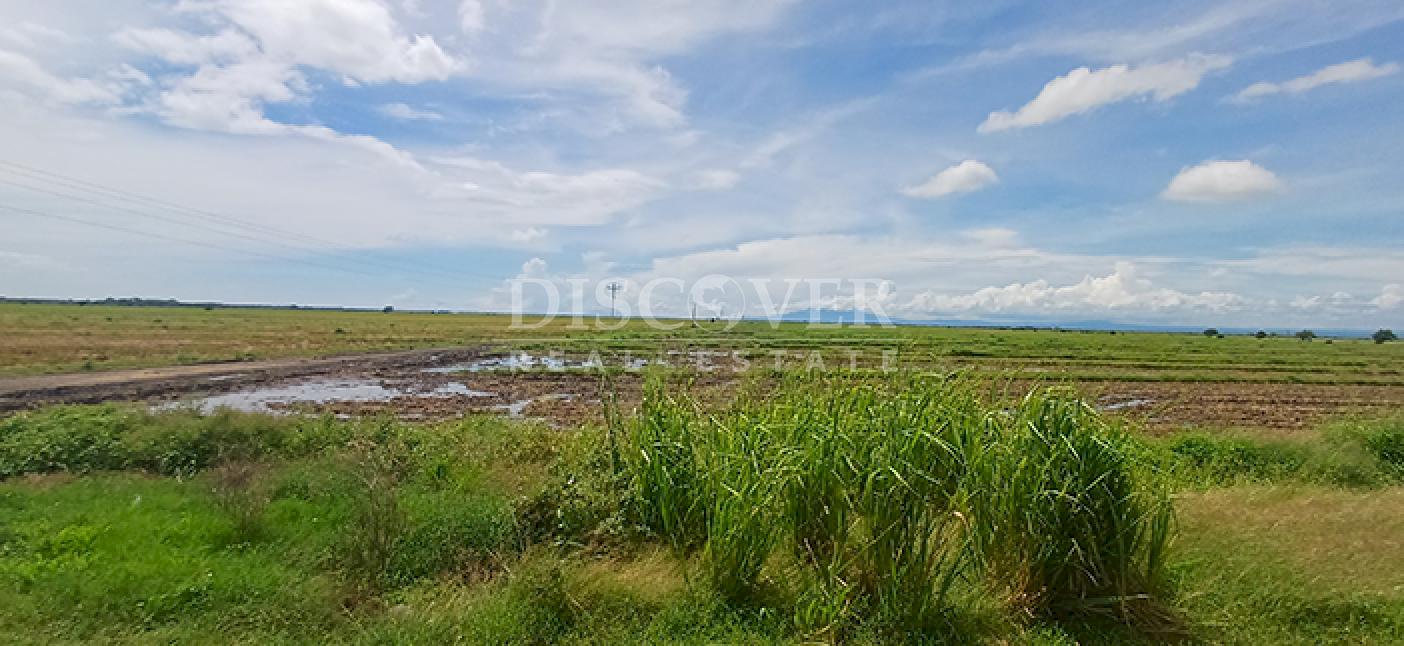 Rice farm for sale/rent in Malacatoya 