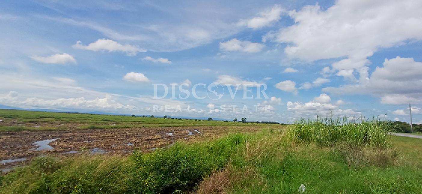 Rice farm for sale/rent in Malacatoya 