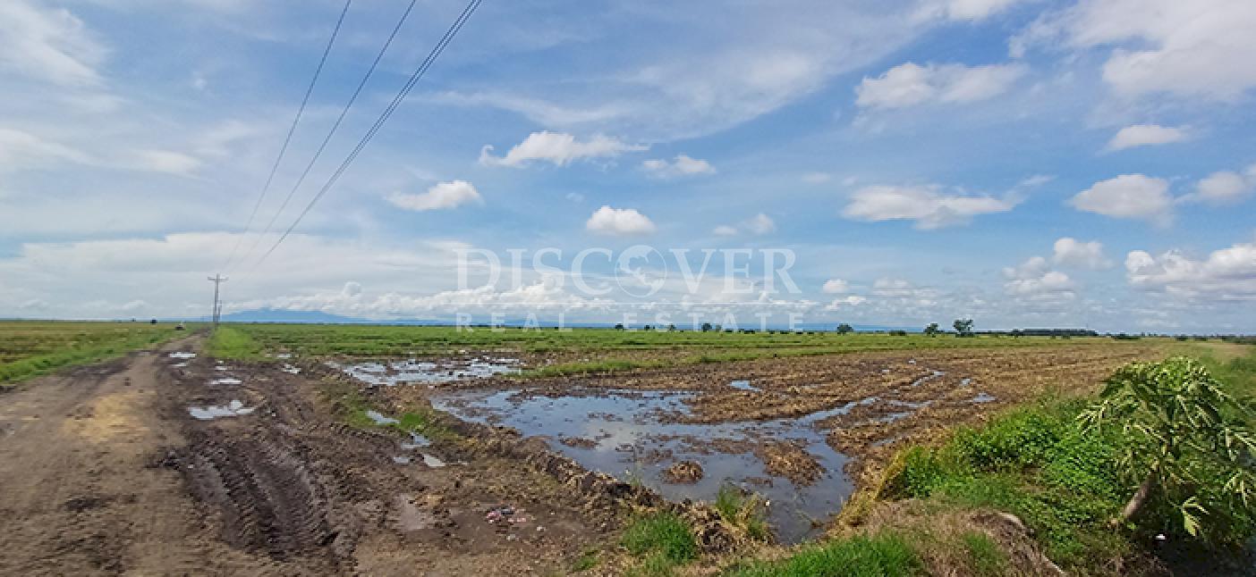 Rice farm for sale/rent in Malacatoya 