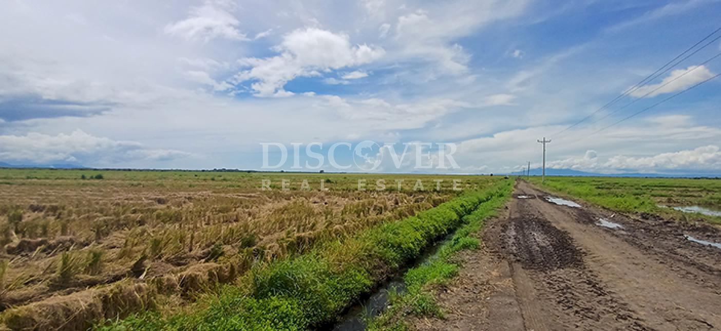 Rice farm for sale/rent in Malacatoya 