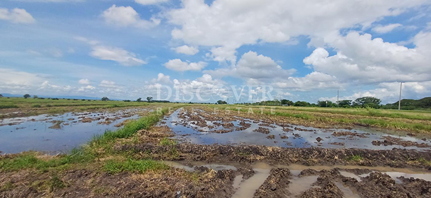 Rice farm for sale/rent in Malacatoya 