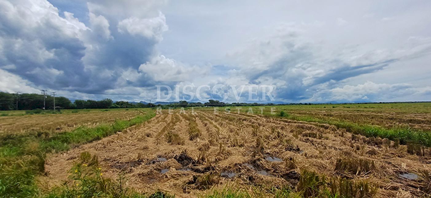 Rice farm for sale/rent in Malacatoya 