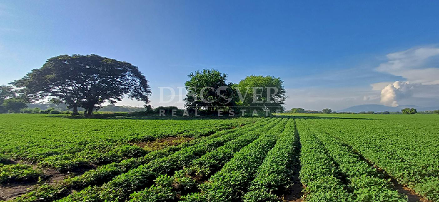 Agricultural property for sale in Altos de Masaya